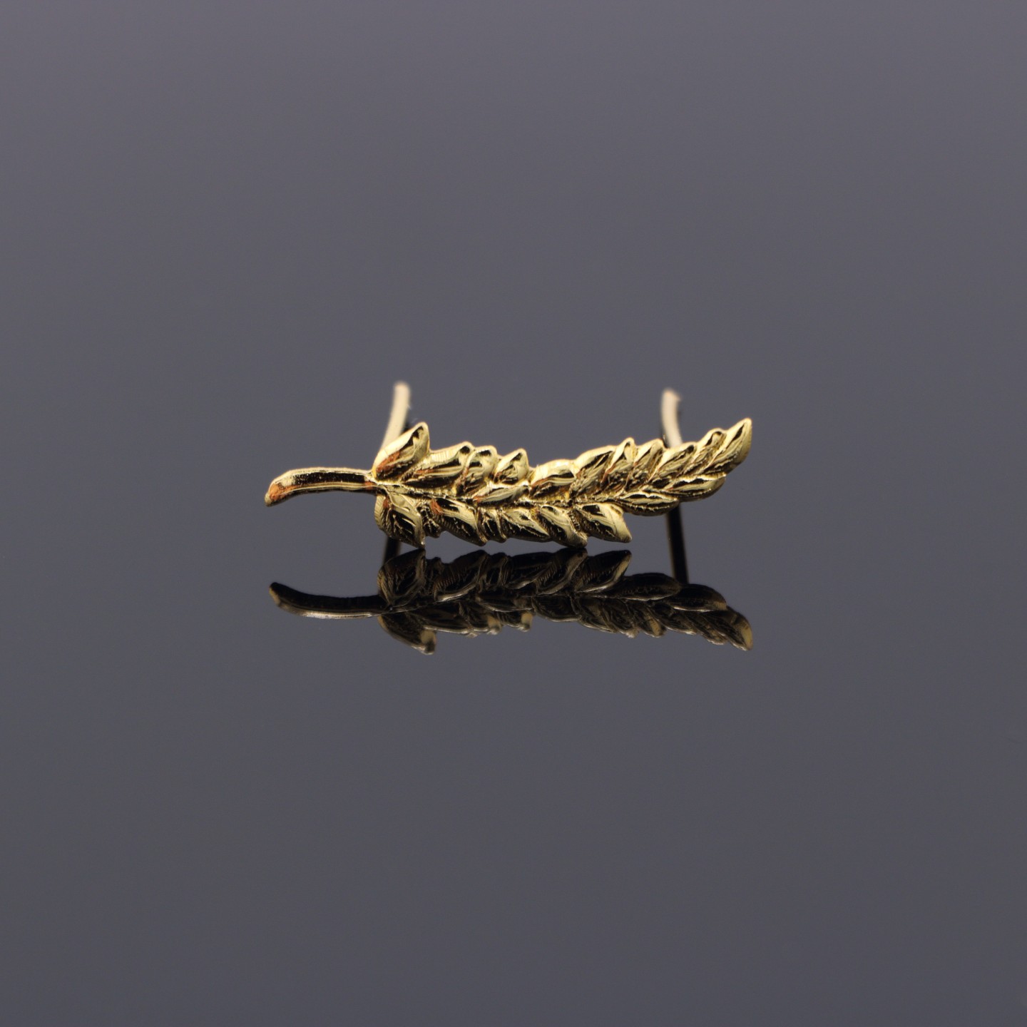 Palme simple : Symbole d&rsquo;&eacute;tape et de r&eacute;ussite