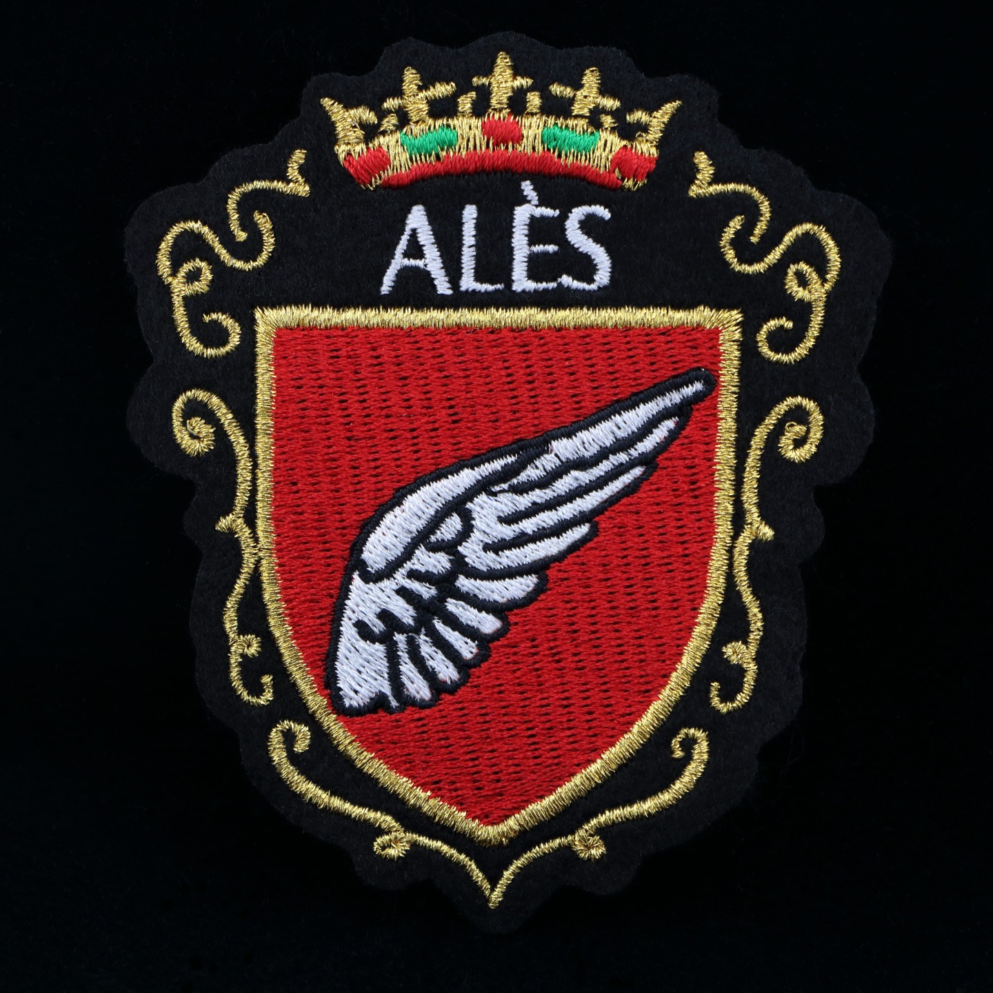 &Eacute;cusson de la ville d'Al&egrave;s