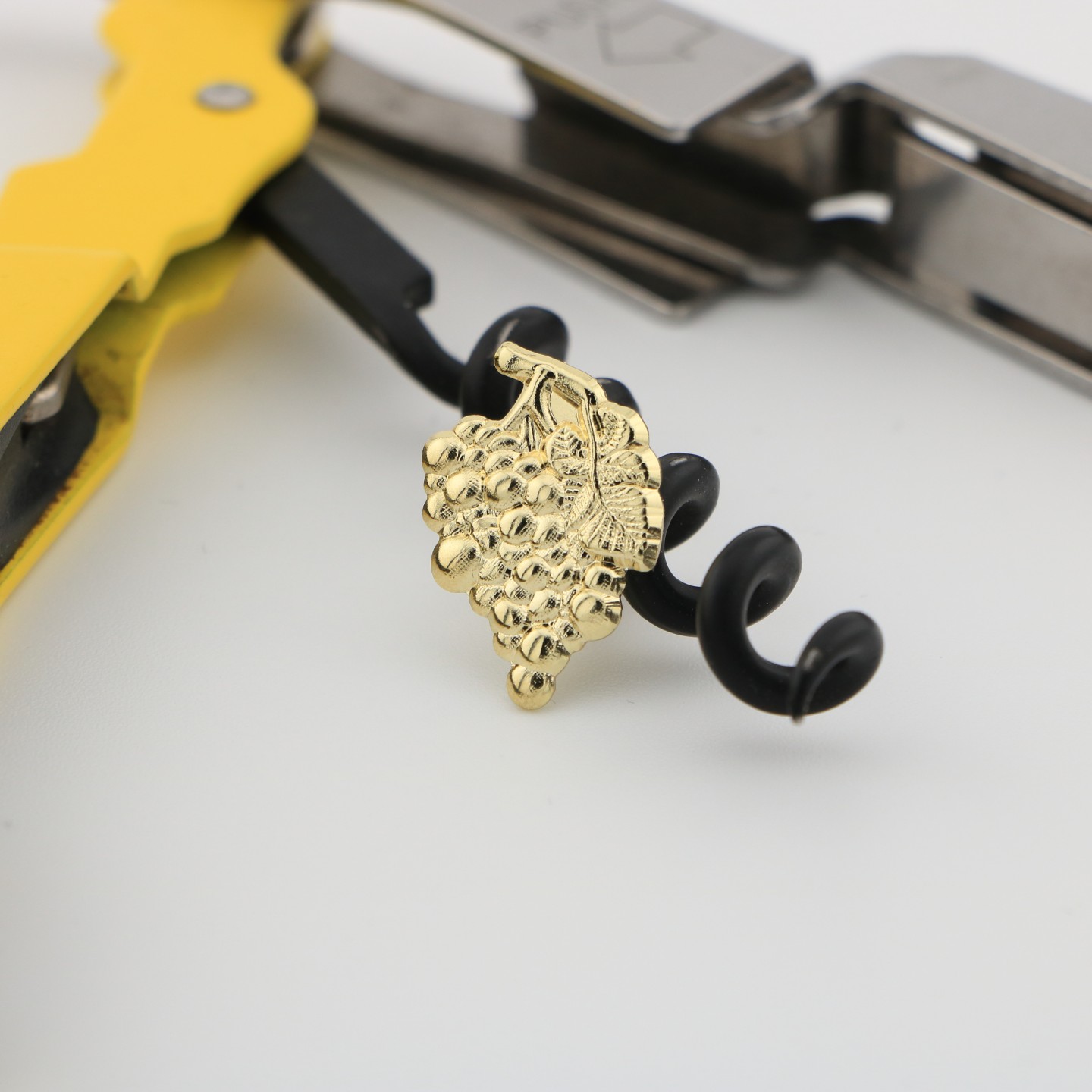 Grappe de Raisin : Amour du bon vin et étude en Œnologie