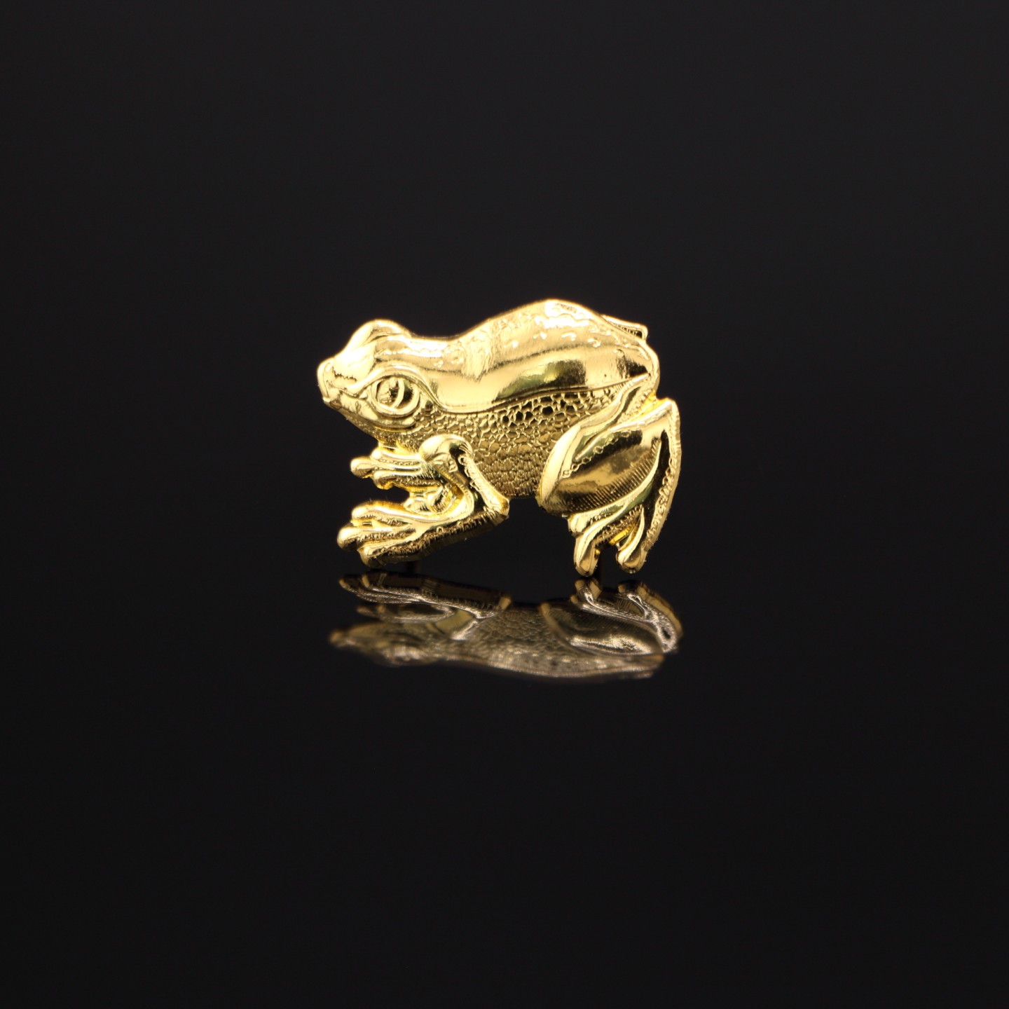 Grenouille : Étudiants en sociologie