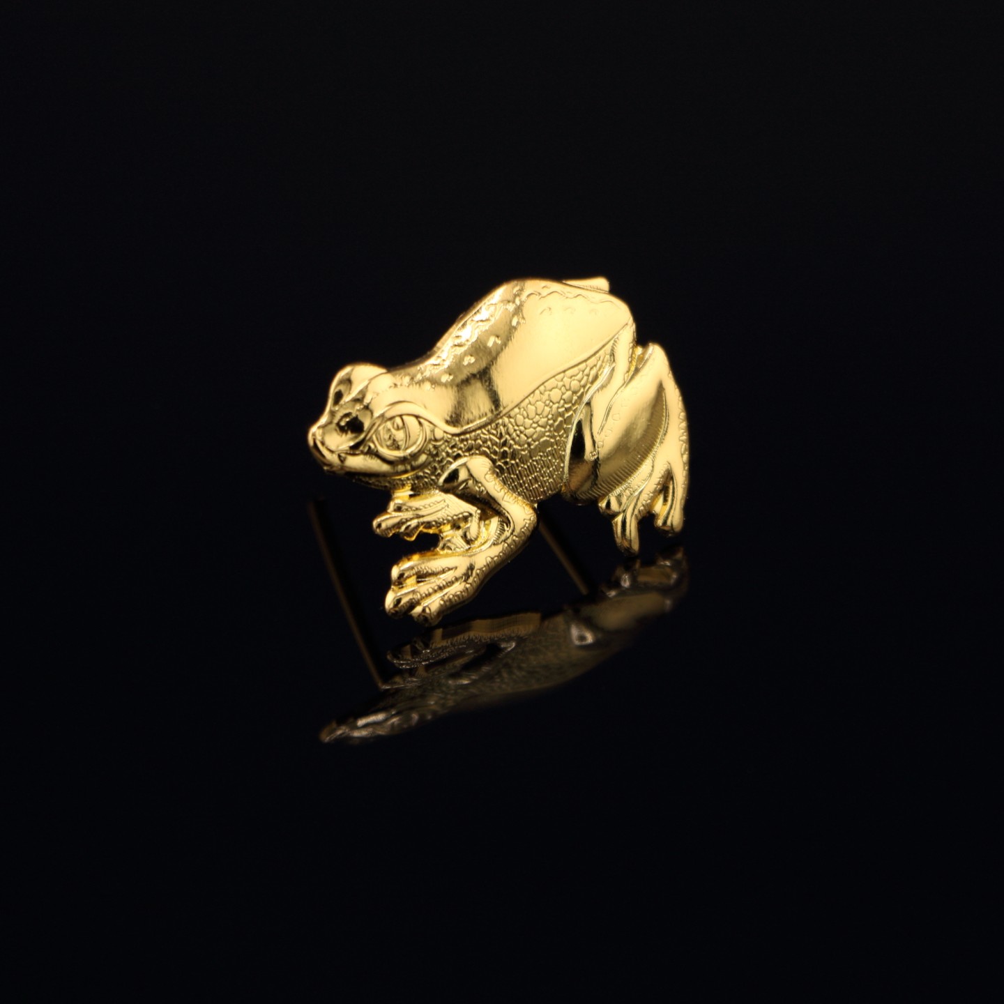 Grenouille : Étudiants en sociologie