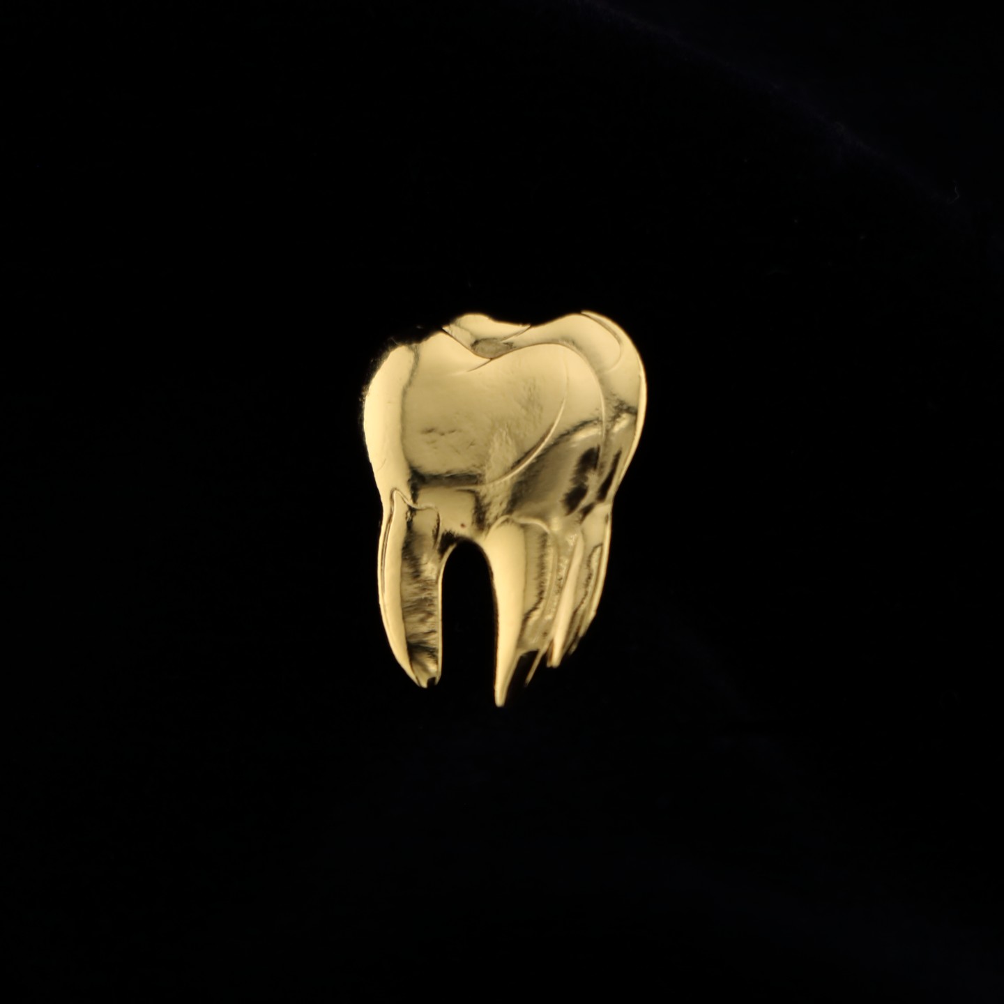 Molaire : Étudiant en Chirurgie Dentaire