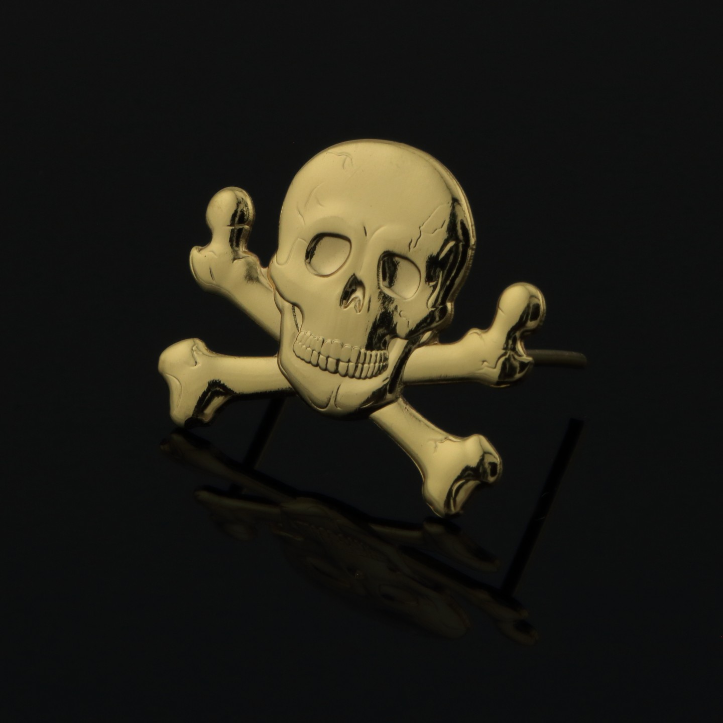 Tête de mort aux fémurs croisé : étudiants ayant entrepris une année en PASS