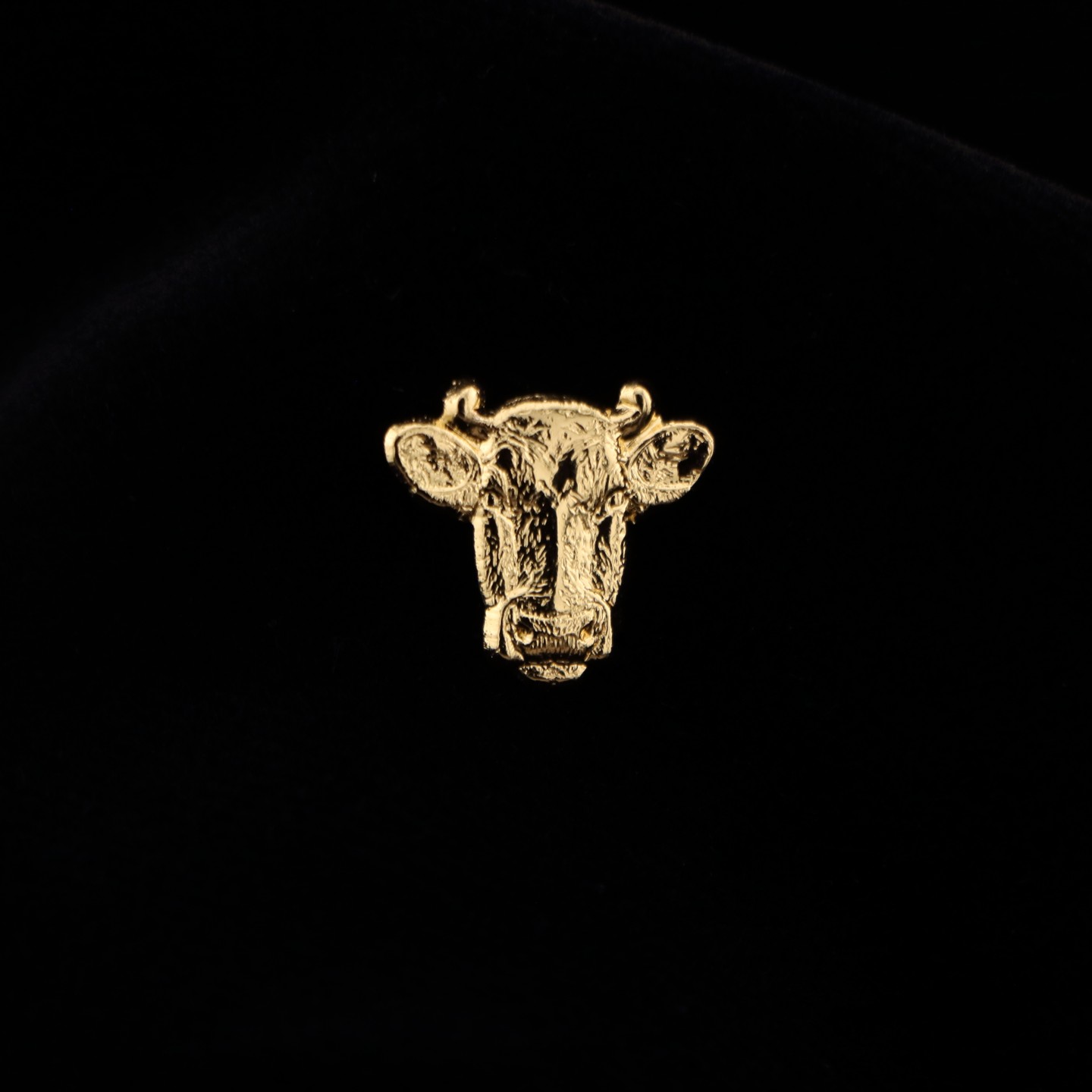 Tête de Vache : Symbole de résilience et de réussite
