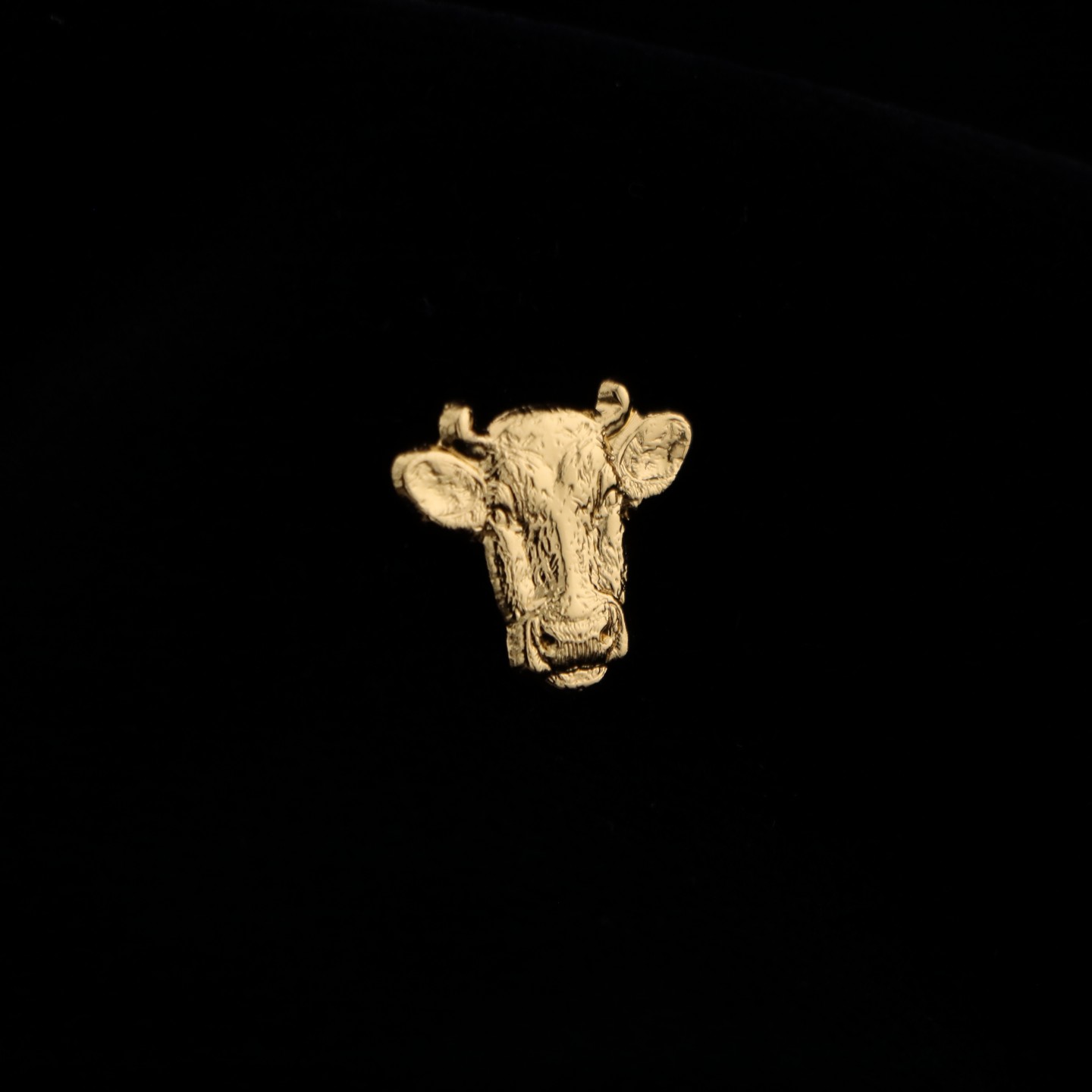 Tête de Vache : Symbole de résilience et de réussite