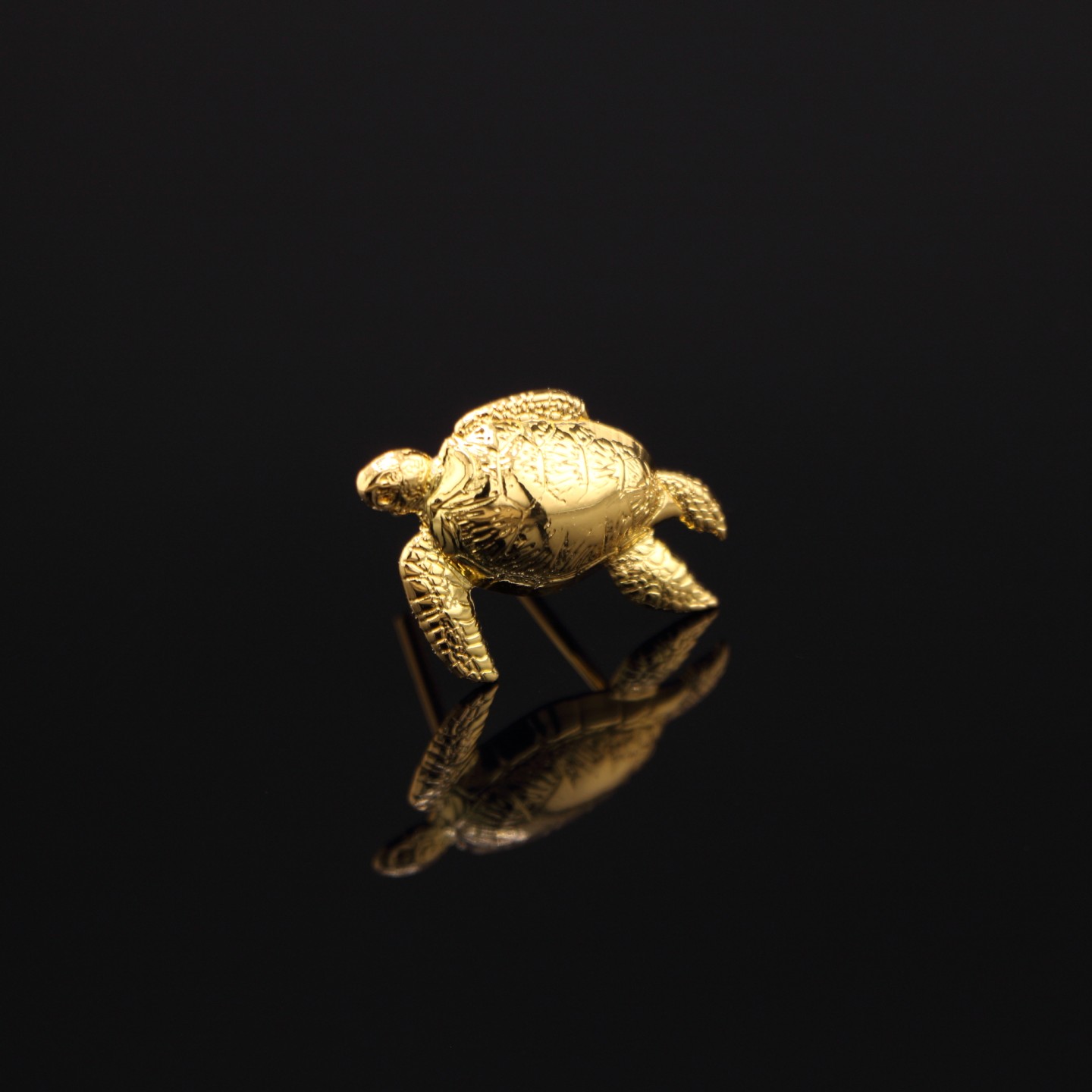 Tortue Dorée : Insigne d’Élu CNOUS