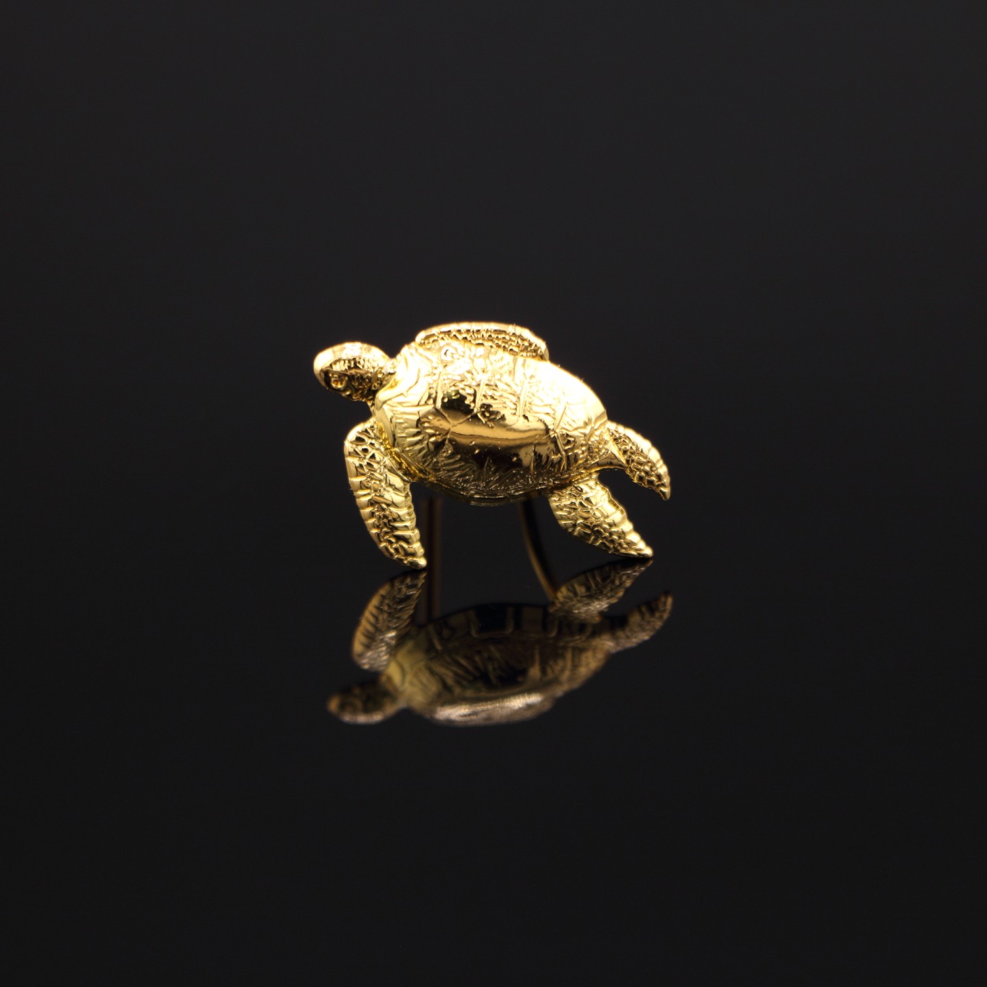 Tortue Dorée : Insigne d’Élu CNOUS