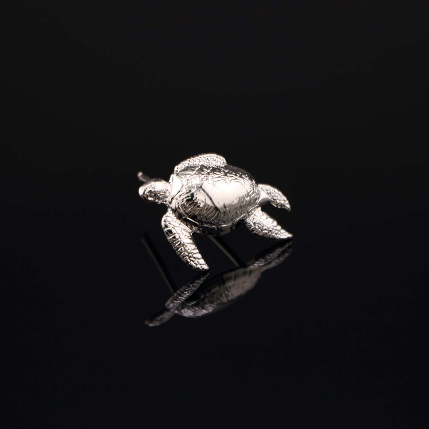 Tortue Argentée : Insigne d’Élu CROUS