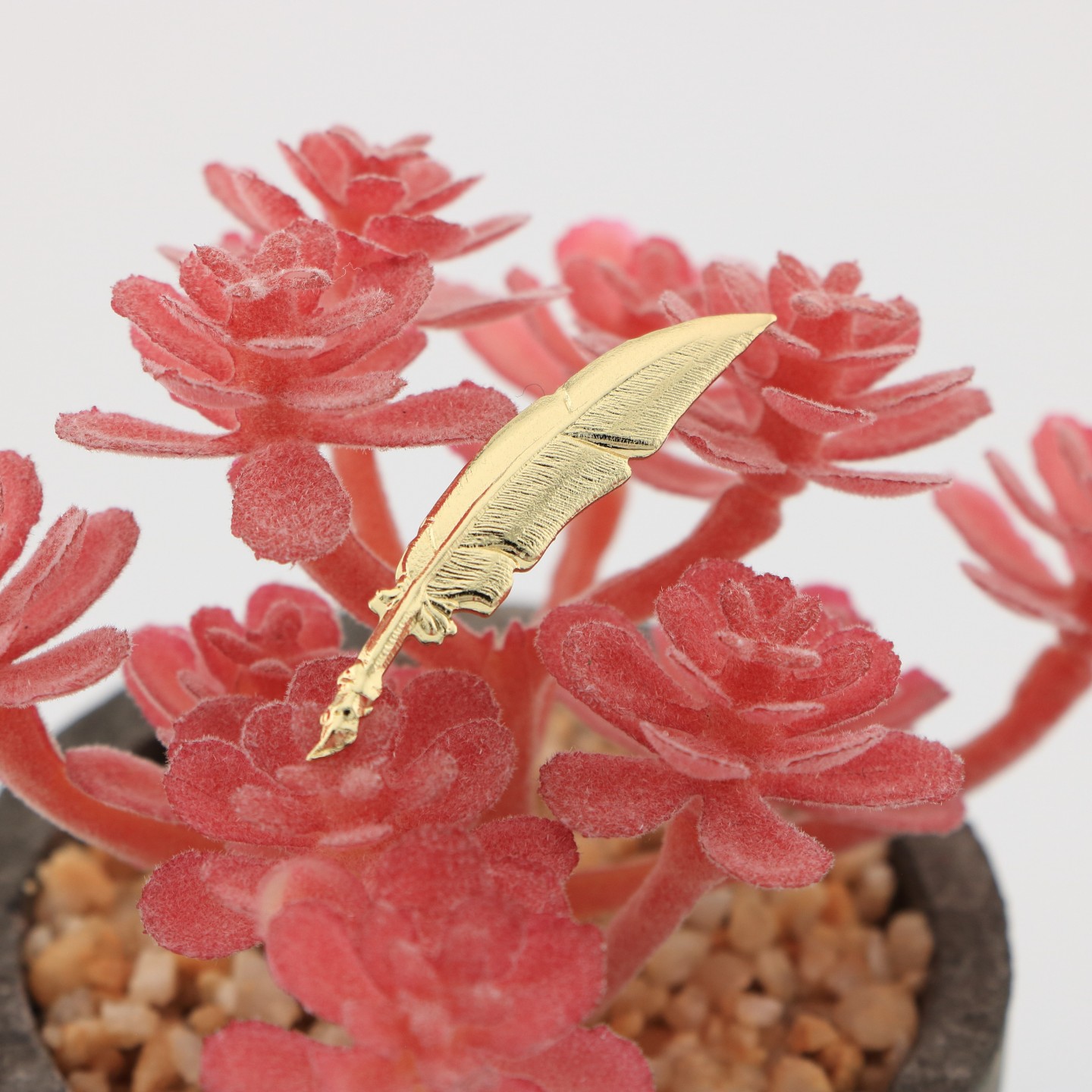 Plume : Symbole des passionnés de littérature