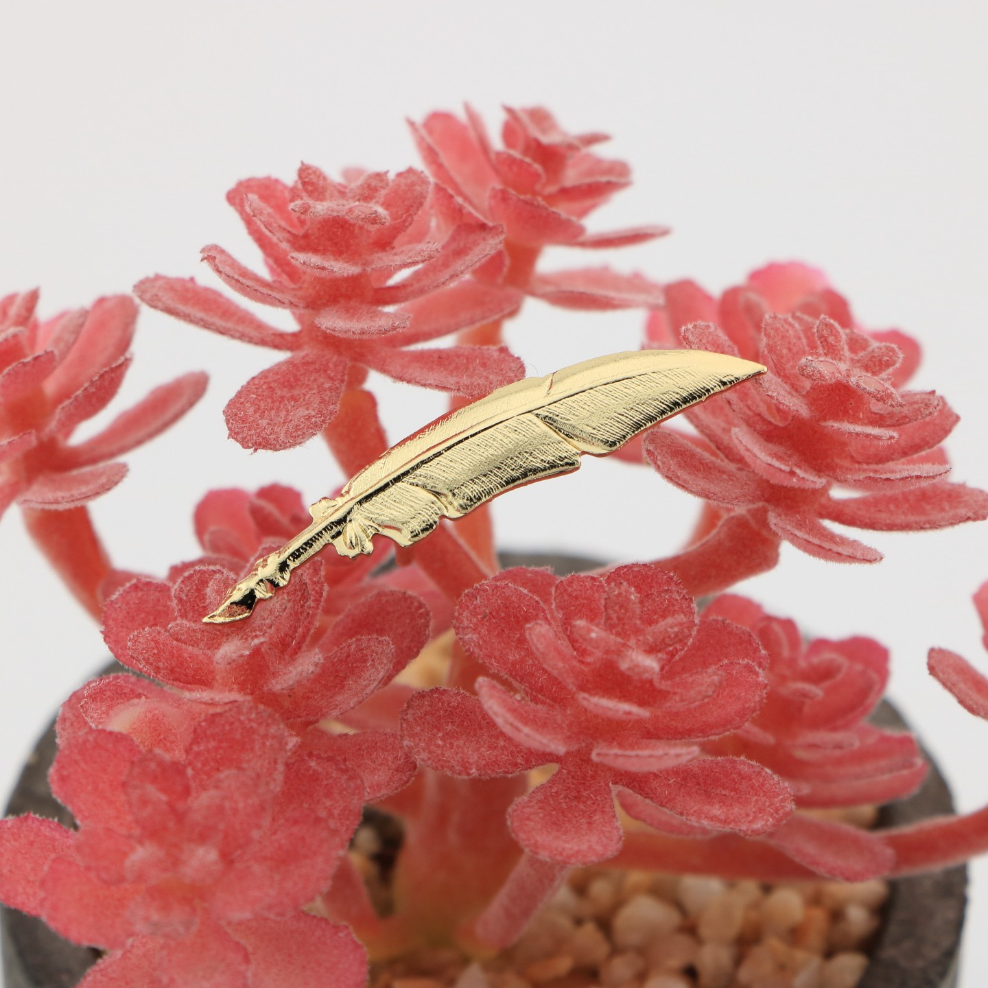 Plume : Symbole des passionnés de littérature