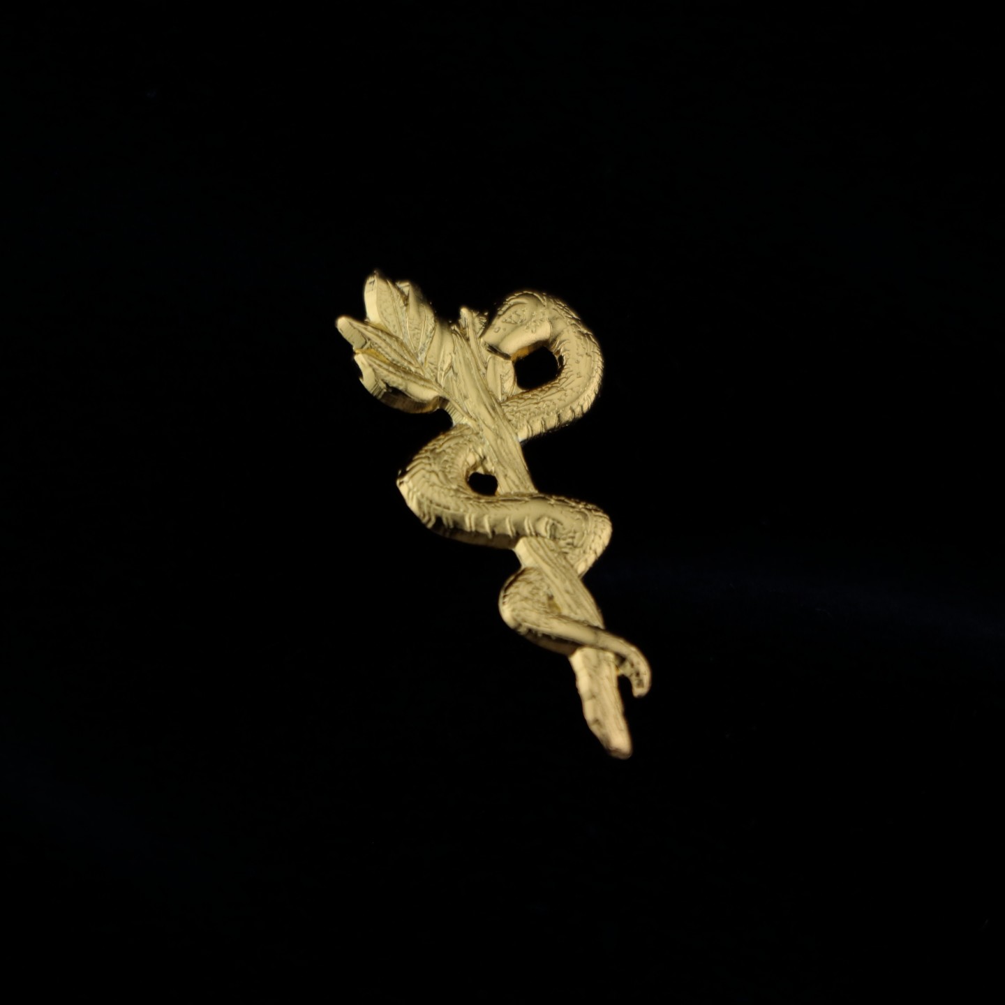 Caducée infirmier : Étudiant Infirmier