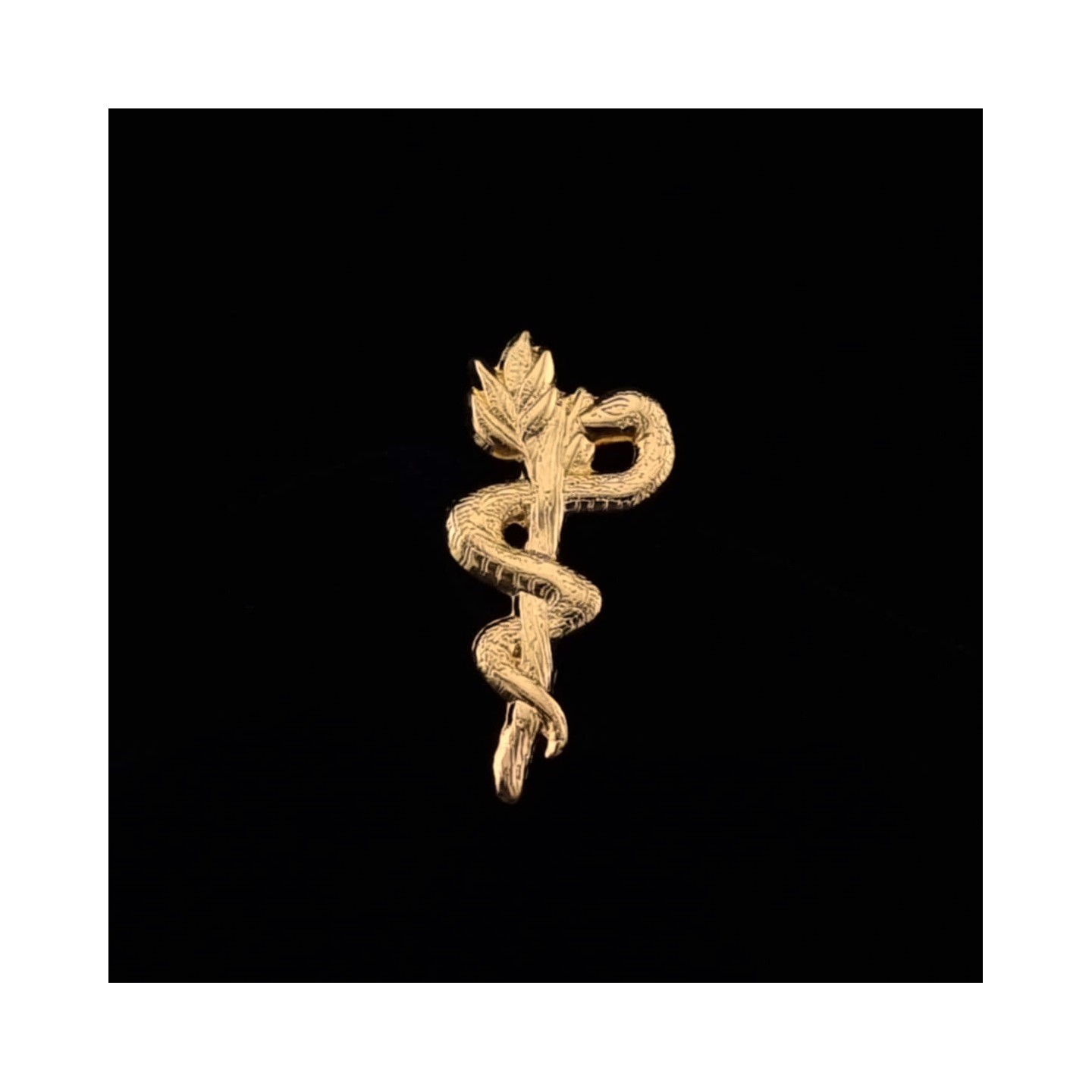 Caducée infirmier : Étudiant Infirmier