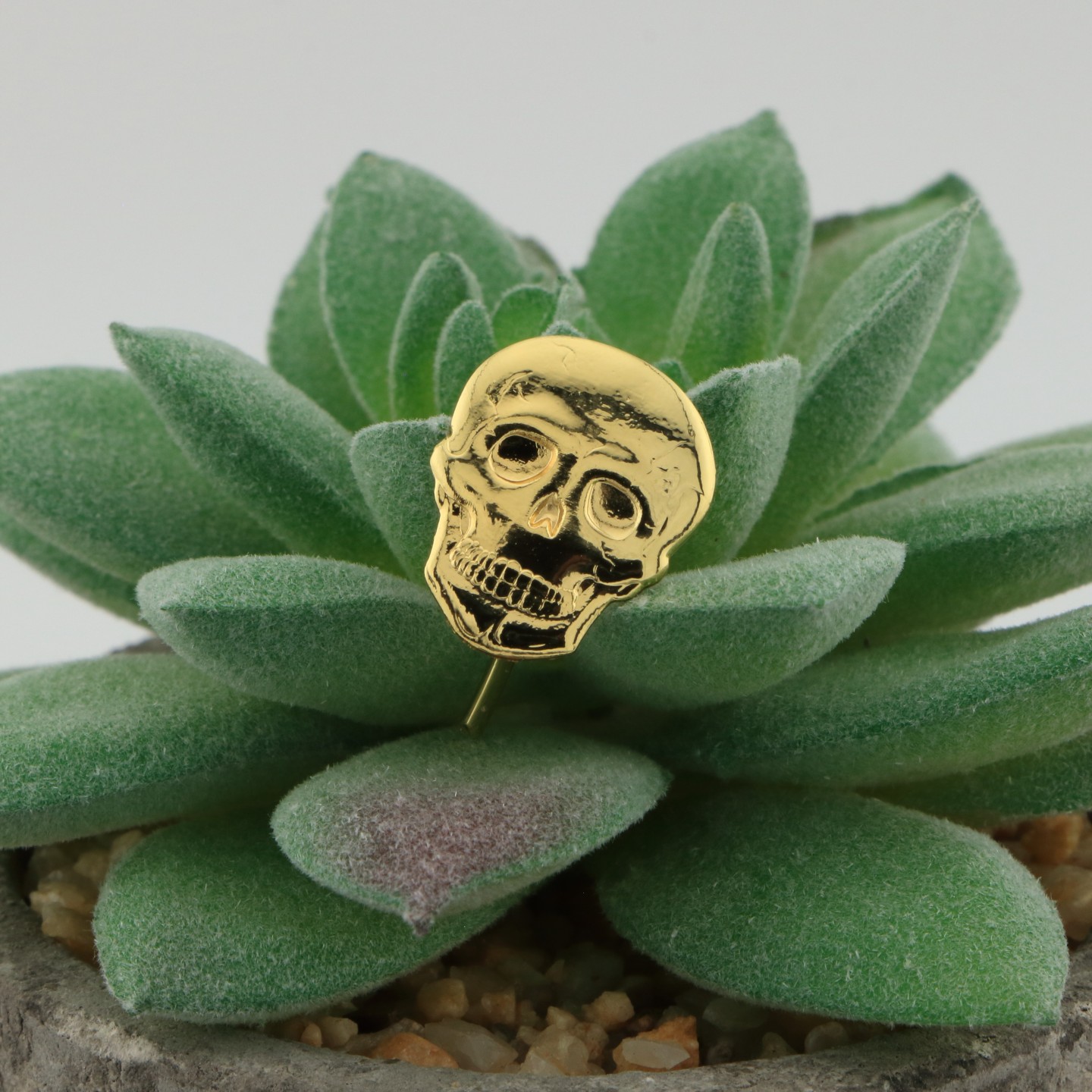 Tête de Mort : Symbole de choix et de renouveau