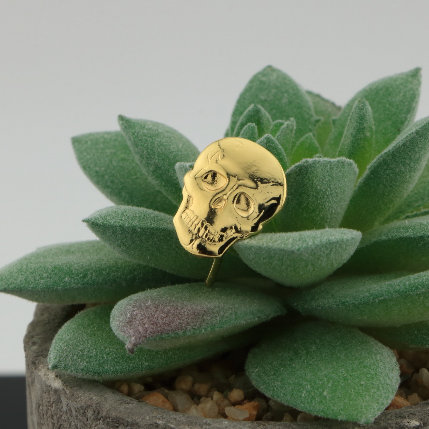 Tête de Mort : Symbole de choix et de renouveau