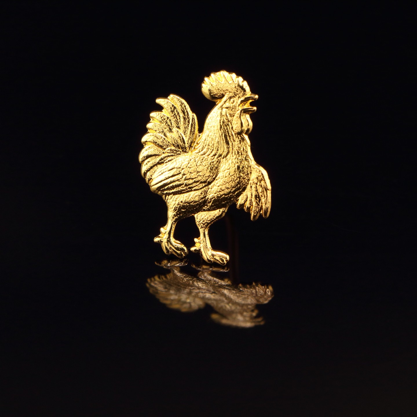 Coq : Langue bien pendue et jamais dans sa poche