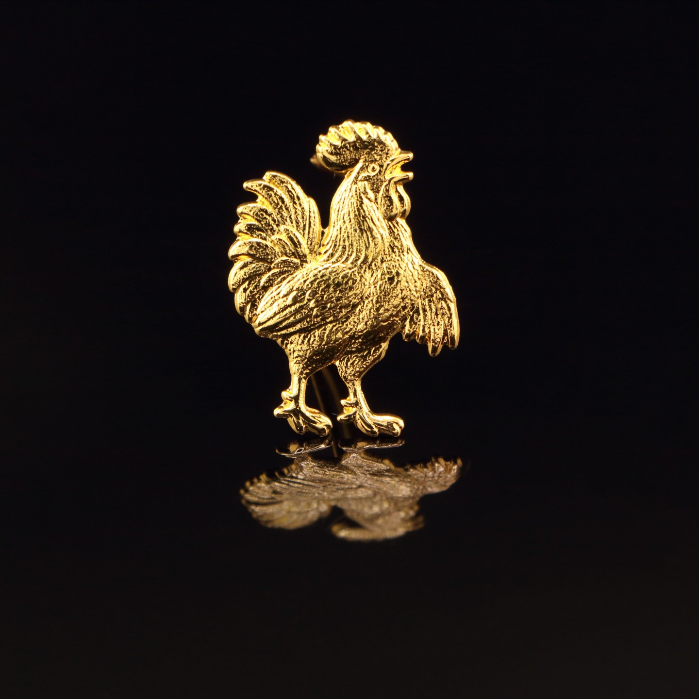 Coq : Langue bien pendue et jamais dans sa poche