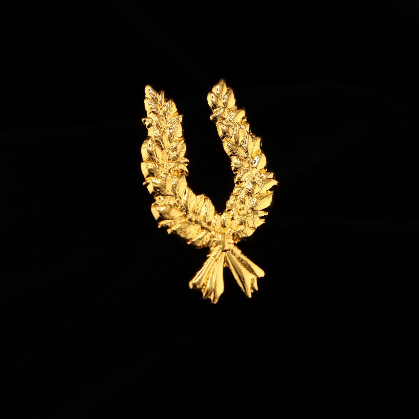 Palme de Diplôme : Symbole de réussite et de persévérance
