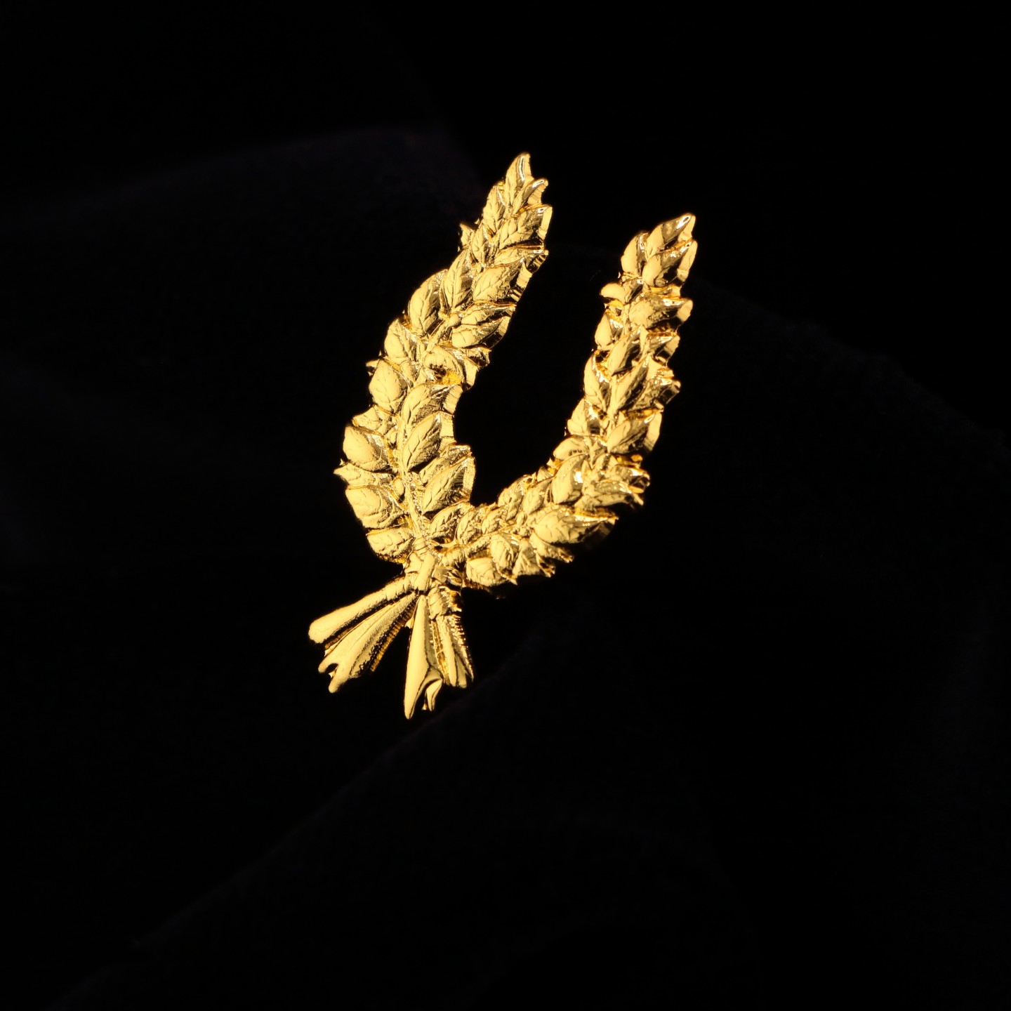 Palme de Diplôme : Symbole de réussite et de persévérance