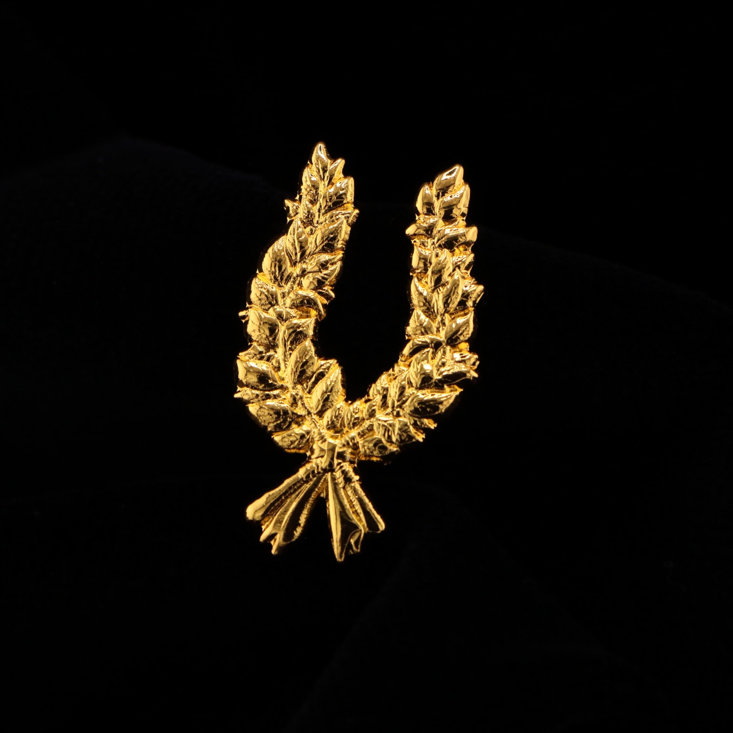 Palme de Diplôme : Symbole de réussite et de persévérance