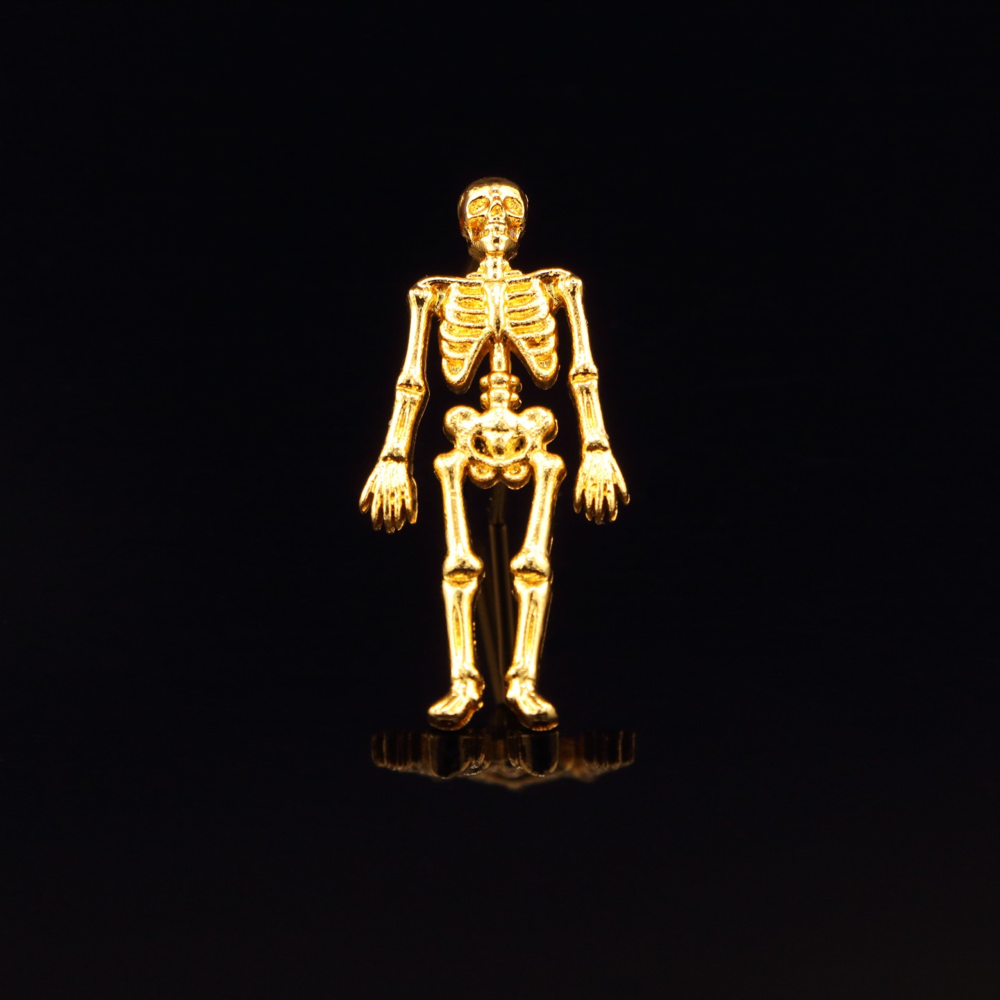 Squelette : études courtes de santé