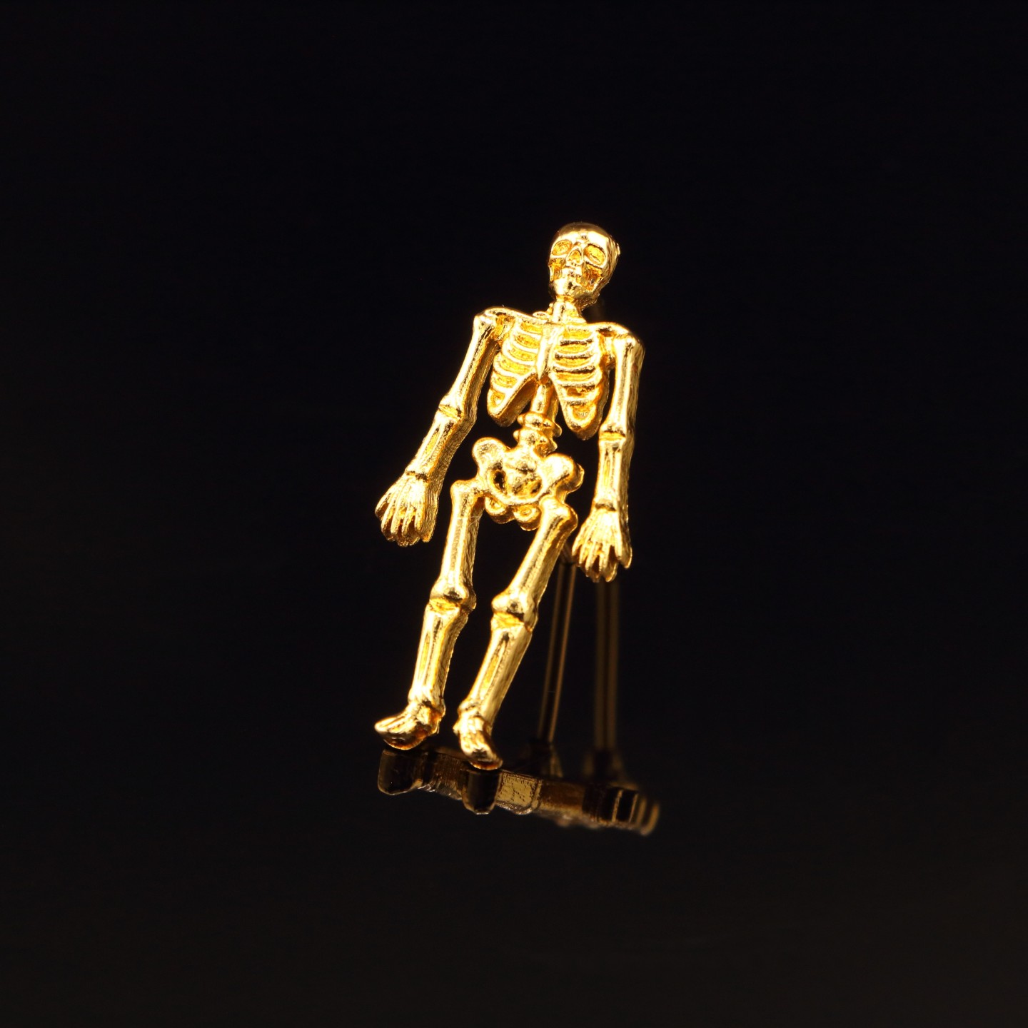 Insigne : Squelette, amour de l’anatomie