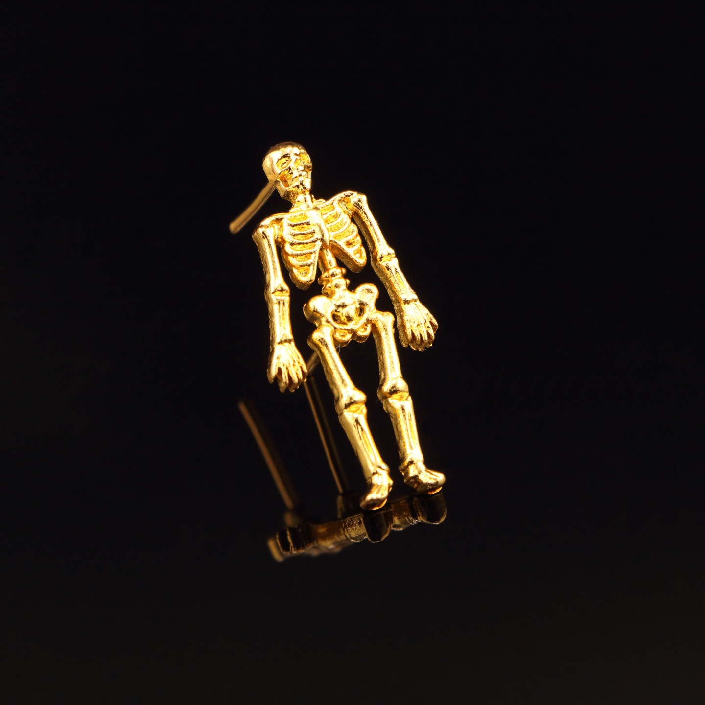 Insigne : Squelette, amour de l’anatomie